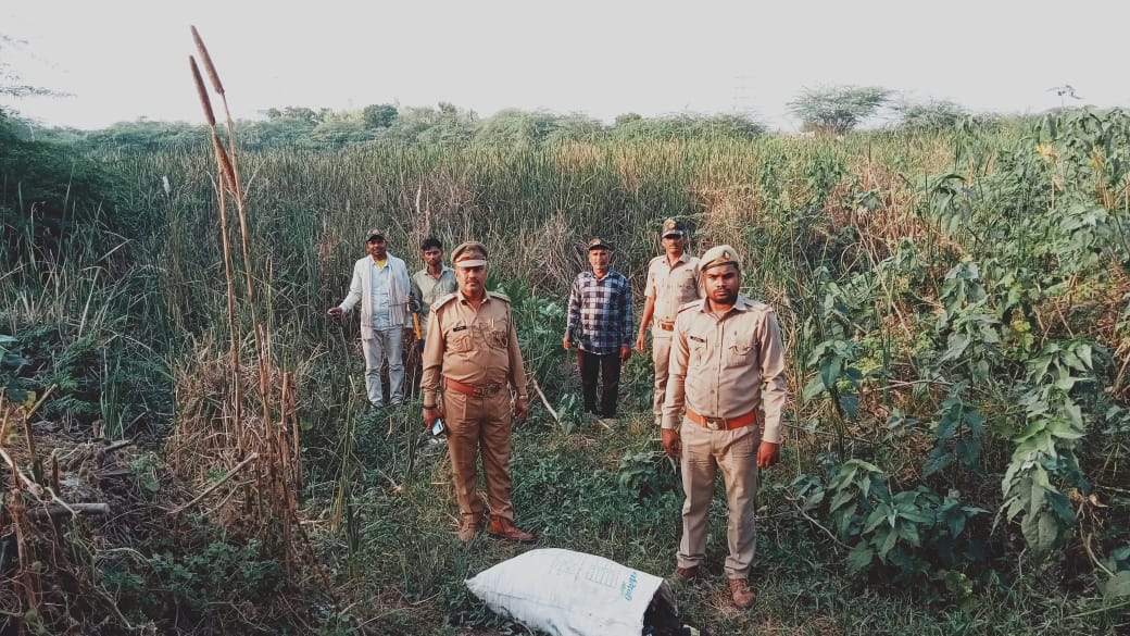 हमीरपुर में मगरमच्छ को लेकर दो दिनों से ग्रामीणों में दहशत: वन विभाग की टीम ने तालाब किनारे डेरा डाला