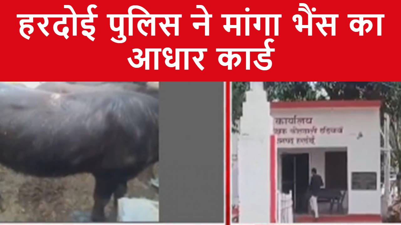 Hardoi News: भैंस का आधार कार्ड लाओ तब दर्ज होगी FIR, हरदोई पुलिस ने किया गजब कारनामा