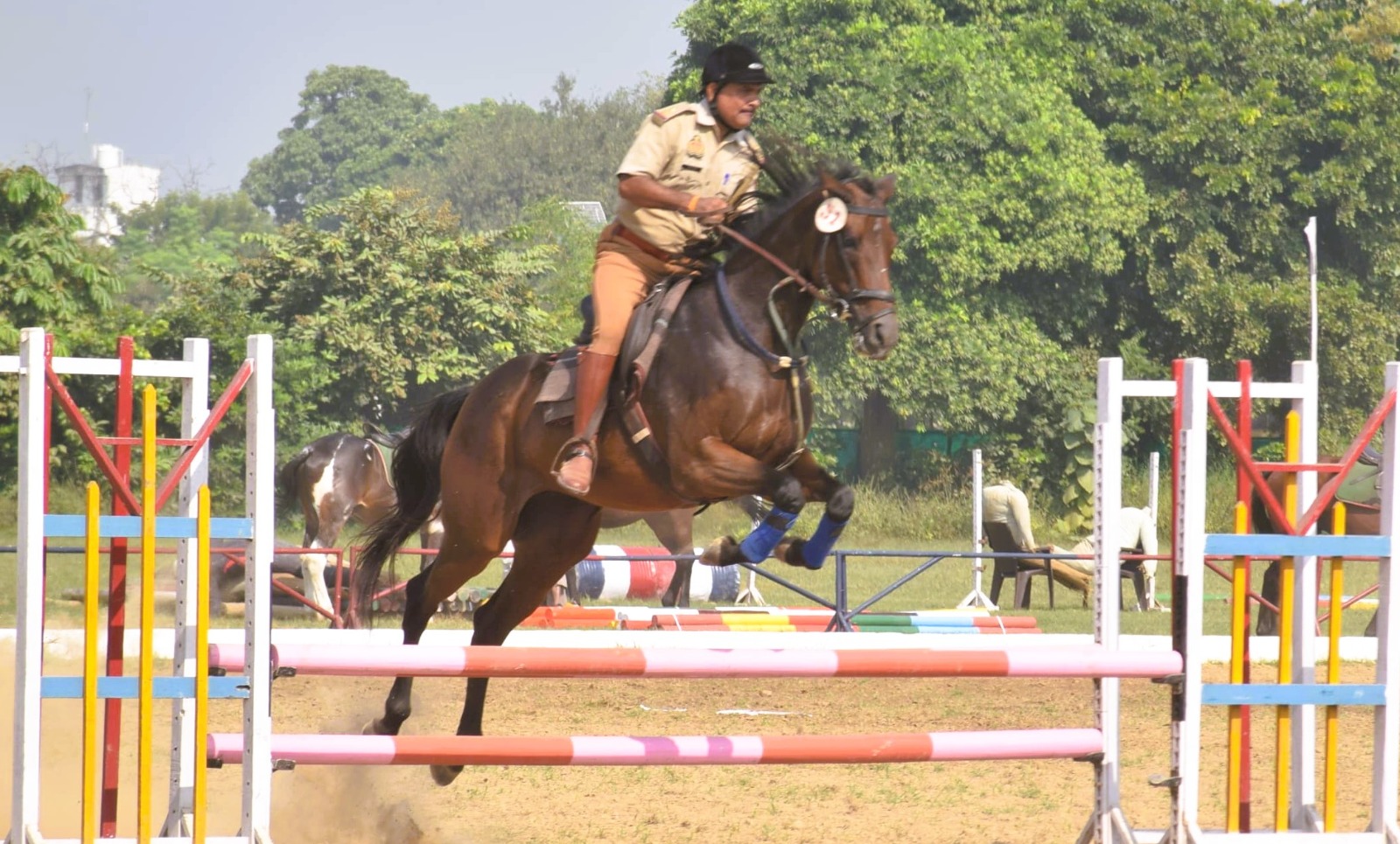 घुड़सवारी प्रतियोगिता: मुरादाबाद के घोड़ों व घुड़सवारों का रहा दबदबा