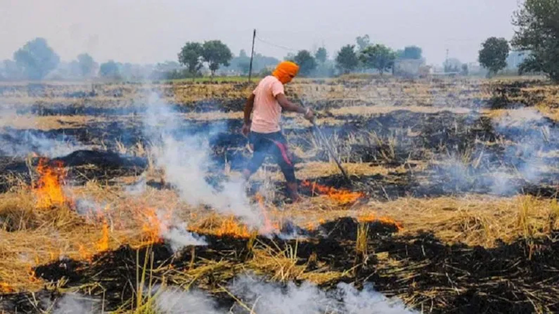 बरेली: पराली को जलाएं नहीं, बिक्री करें या खाद बनाएं