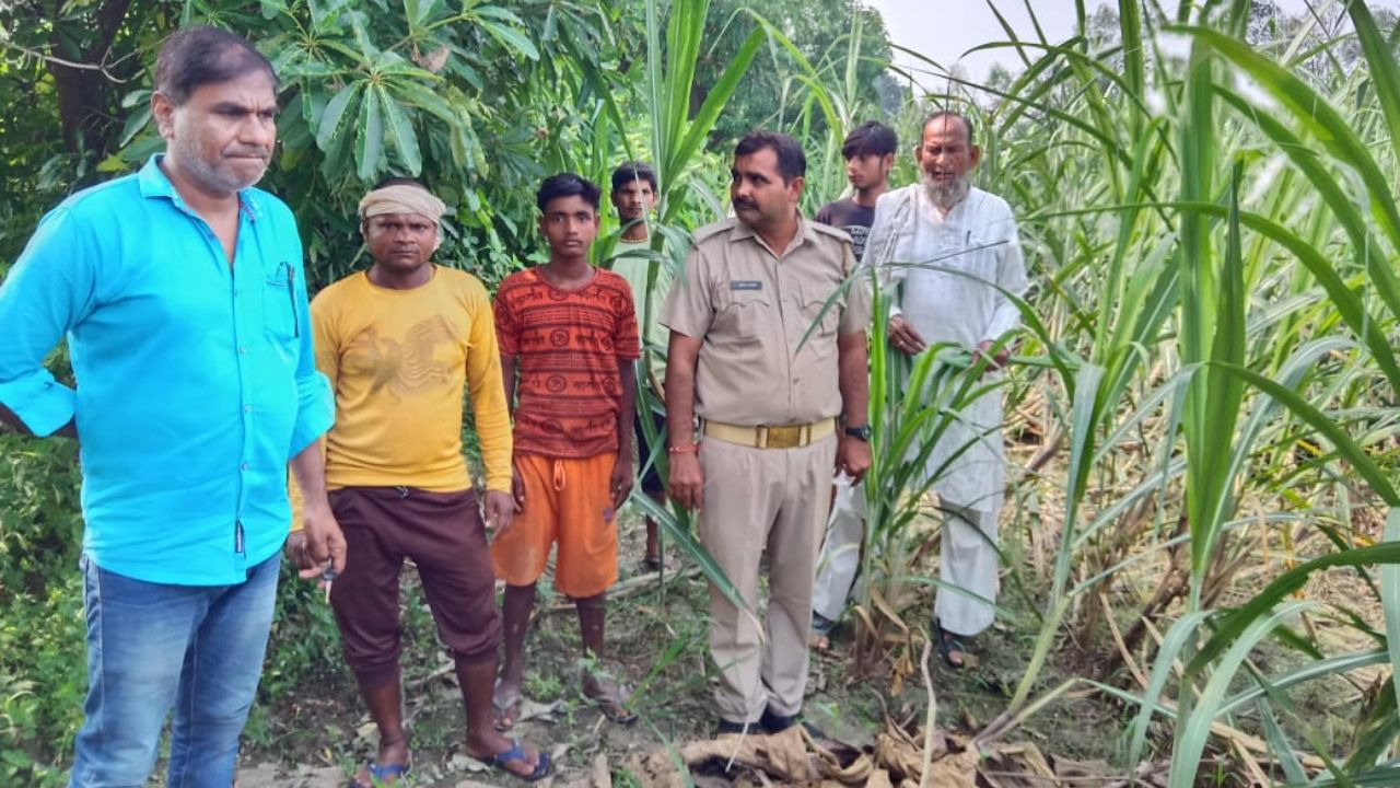 शाहजहांपुर: तेंदुए ने किया था नीलगाय का शिकार...वनकर्मियों ने की कांबिंग, लोगों को किया जागरूक