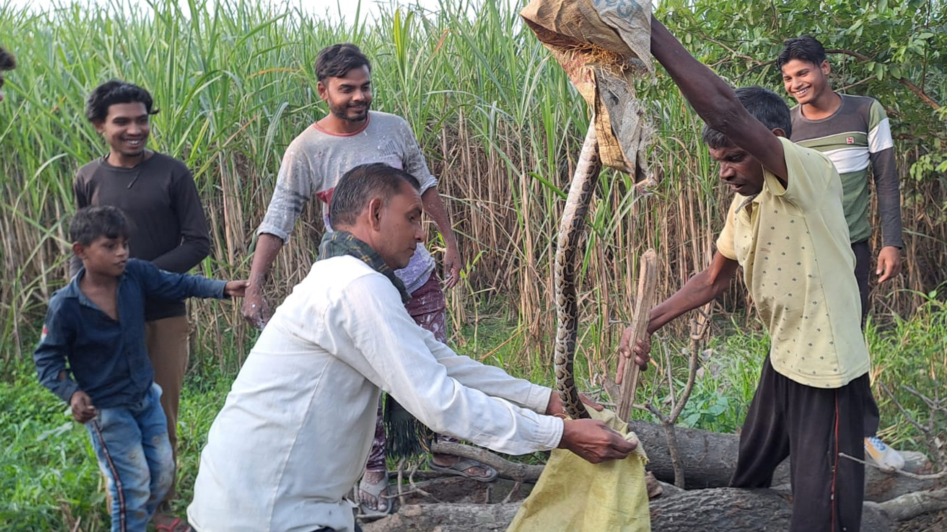 लखीमपुर खीरी: घर के पास अजगर निकलने से मचा हड़कंप