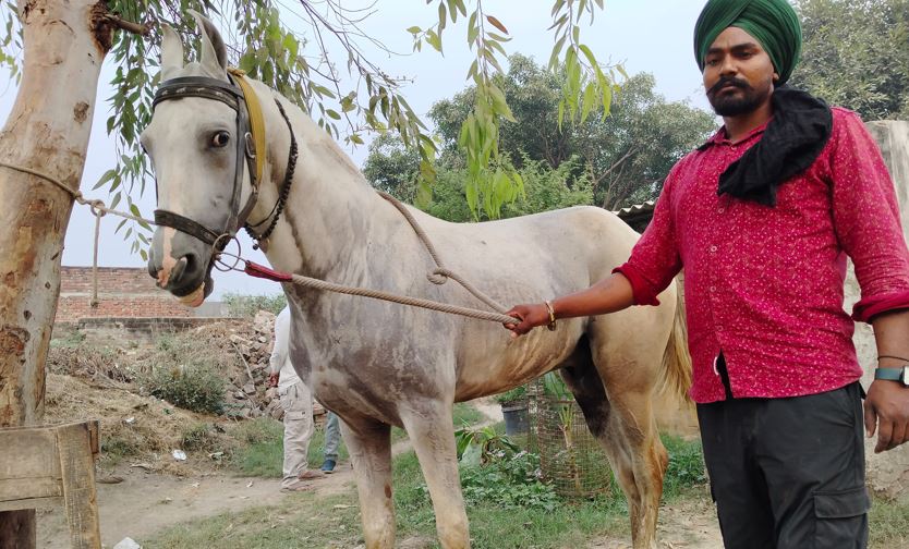 Bareilly: चौबारी मेले में 'तूफान' की चालबाजी सबसे महंगी