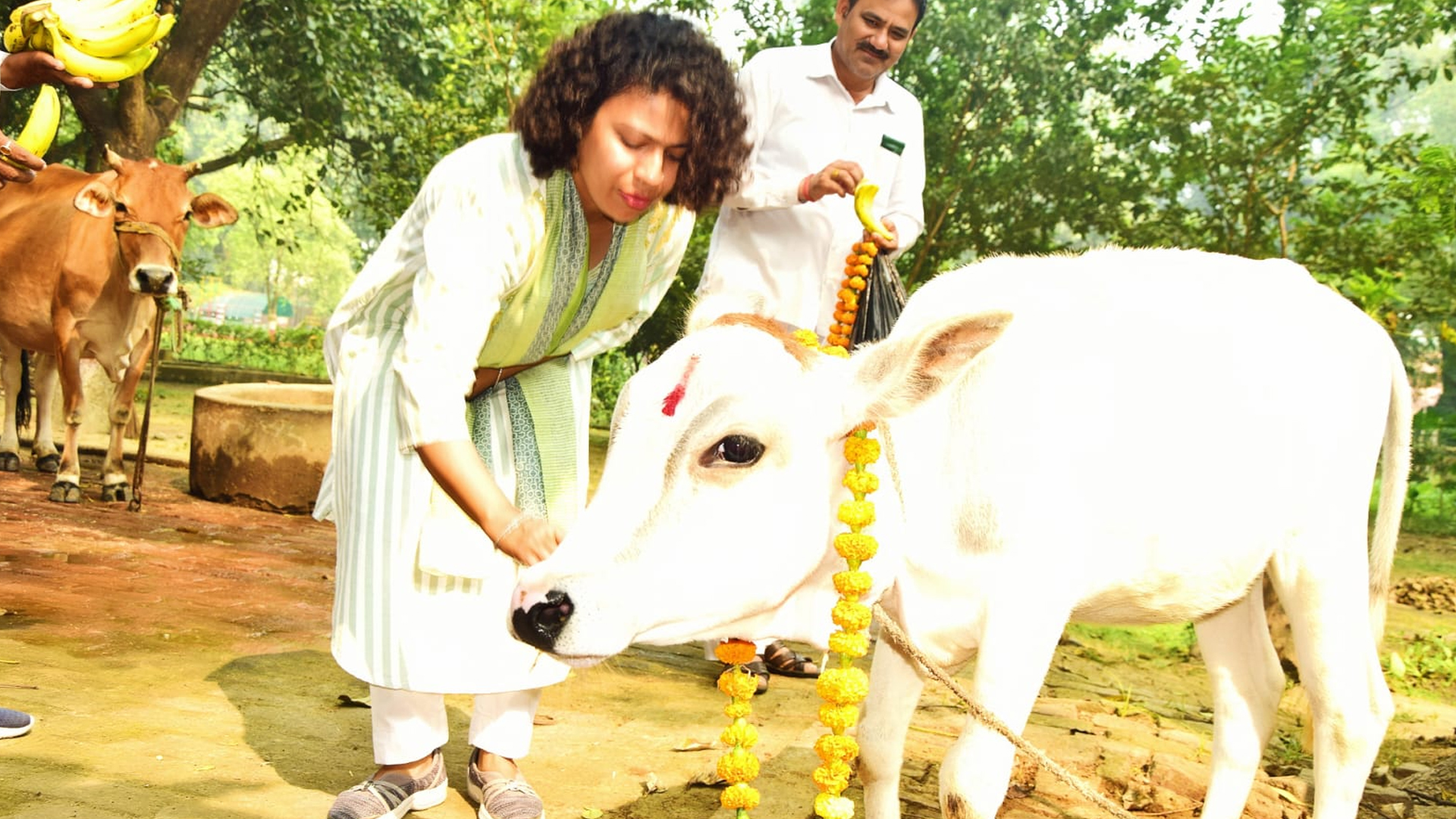 लखीमपुर खीरी: गोवर्धन पूजा पर्व पर गोशालाओं में हुआ गौ पूजन