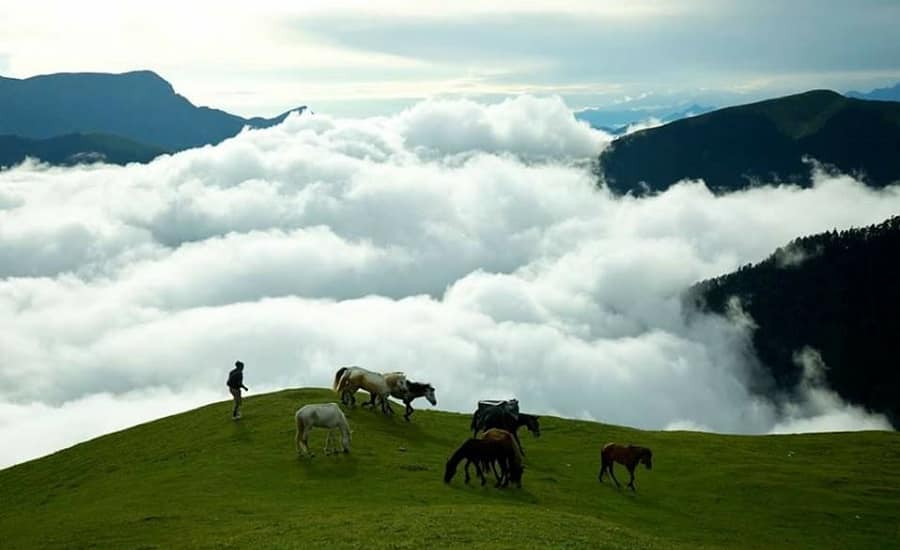 देहरादून: उत्तराखंड के बुग्यालों के संरक्षण के लिए वन विभाग तैयार करेगा एसओपी, भूस्खलन पर काबू पाने की योजना