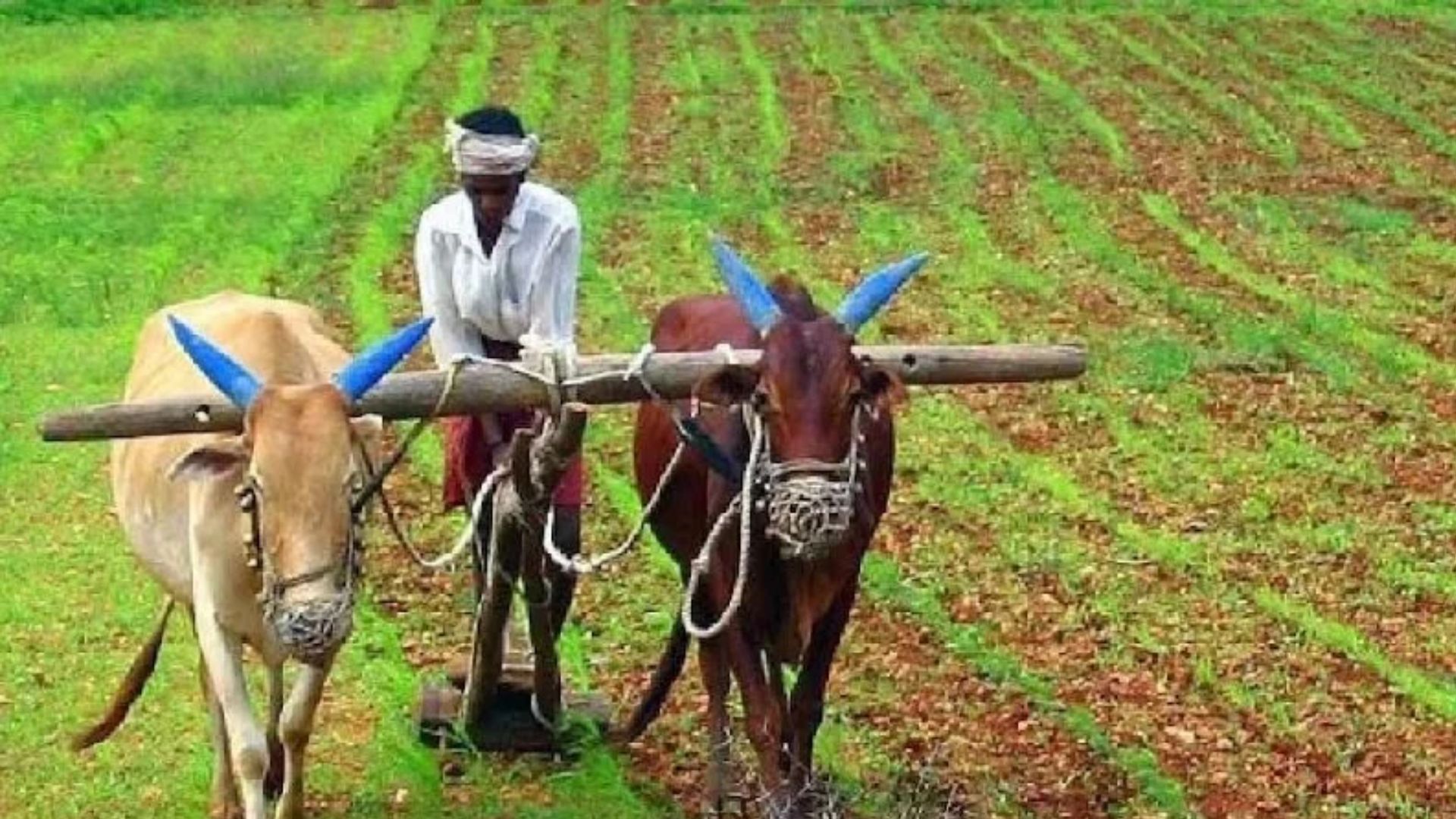 कृषि भारत मेले में जुटेंगे यूपी के एक लाख किसान, नई कृषि तकनीक से होंगे रूबरू