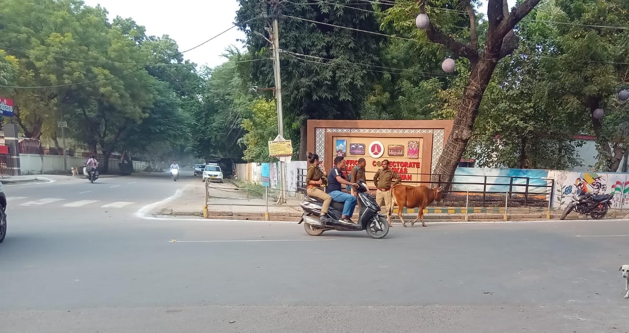 यातायात माह! यह क्या होता है? यातायात माह के दौरान भी वार्दीधारी नहीं कर रहे नियमों का पालन 