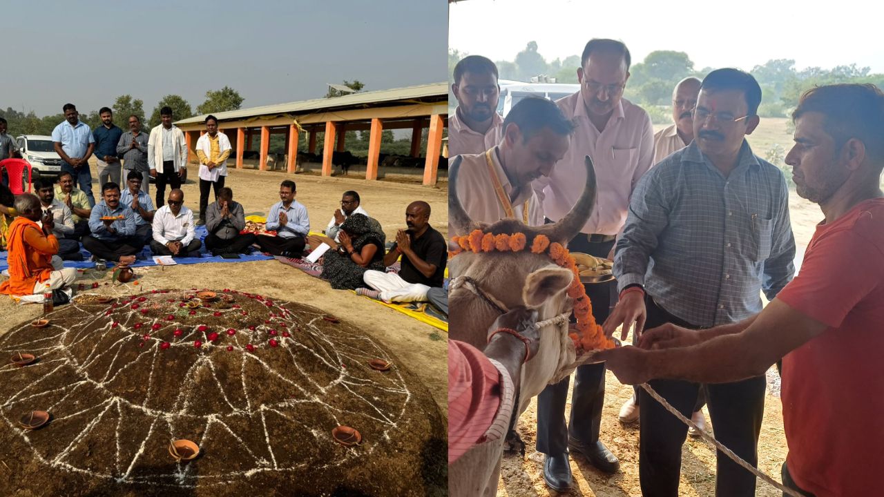 प्रदेश की गोशालाओं में धूमधाम से हुई गोवर्धन पूजा, कैबिनेट मंत्री  ने गायों को खिलाया गुड़ और हरा चारा