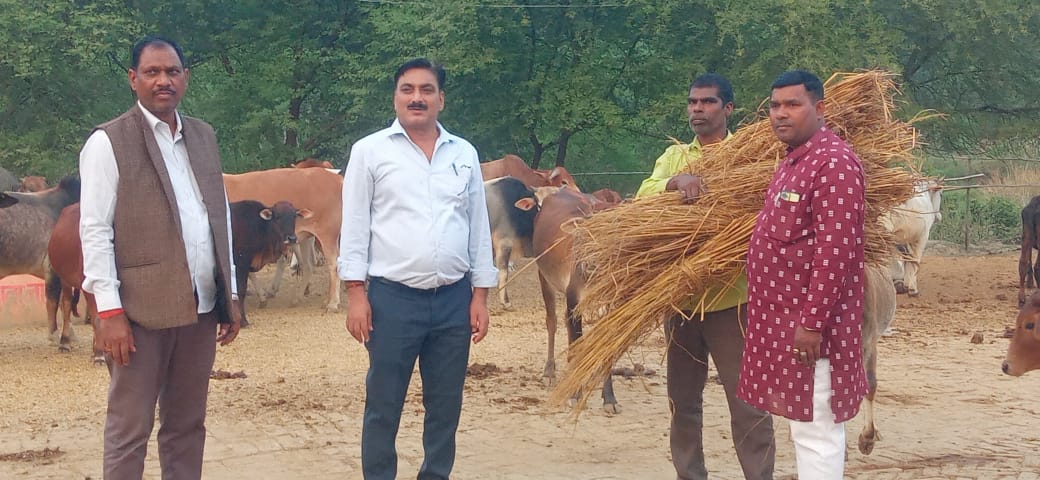 प्रतापगढ़: अधिकारी ने पराली जलाने से किसानों को रोका, गोशाला में करवा दिया दान 