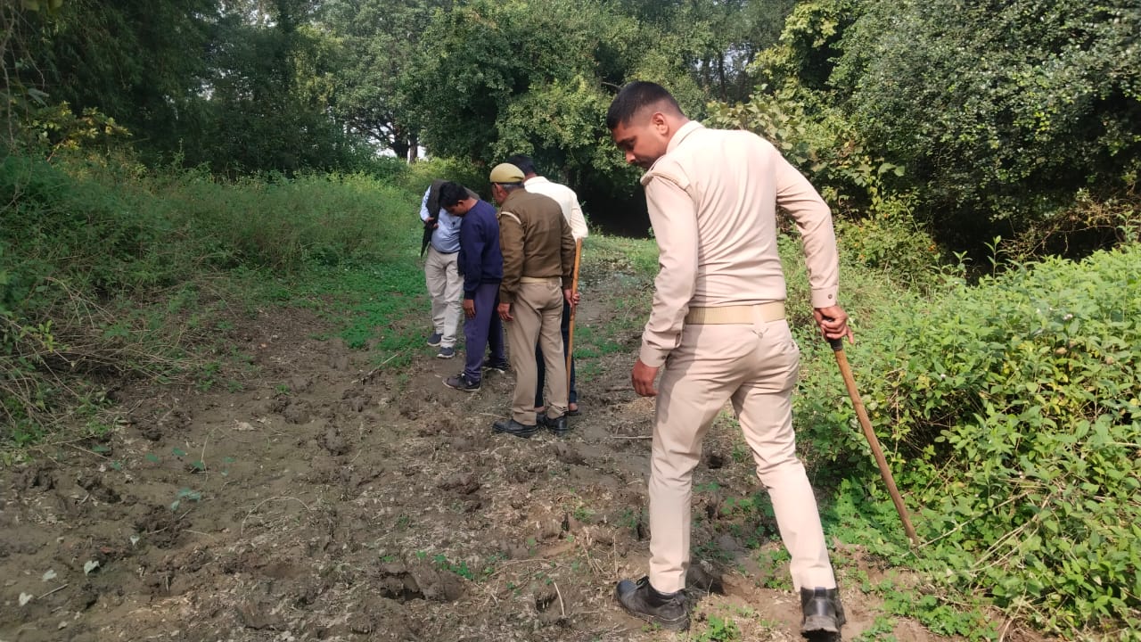 बलरामपुर: नवजात बच्ची को उठा ले गया तेंदुआ, बनाया निवाला...वन विभाग ढूंढने में लगा