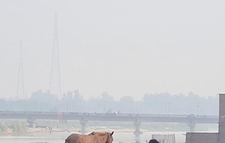 मुरादाबाद : कम हुआ प्रदूषण, महानगर के तीन क्षेत्रों में संतोषजनक स्थिति में वायु गुणवत्ता सूचकांक