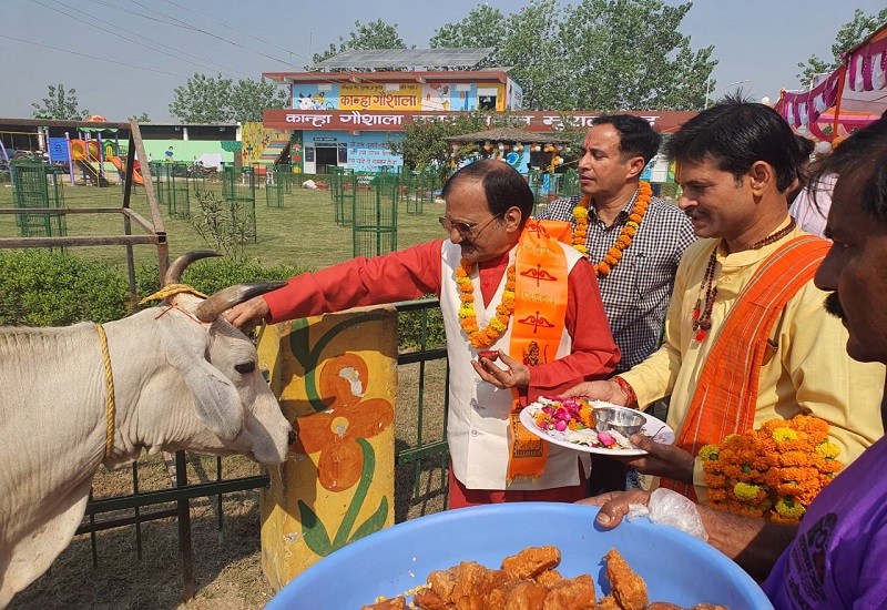 मुरादाबाद : कान्हा गोशाला को मिला राज्य का पहला ISO प्रमाण पत्र, महापौर-अपर नगर आयुक्त ने गोवंश की पूजा कर खिलाया गुड़-चना