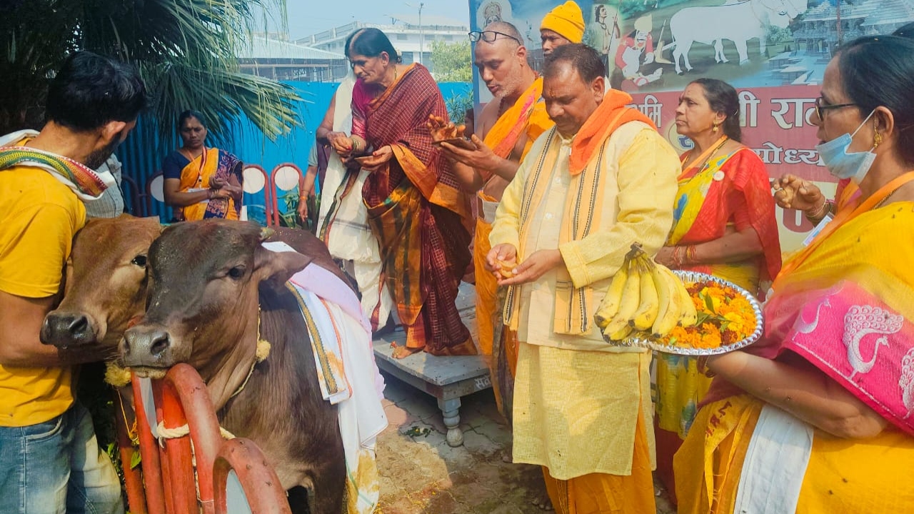 Unique wedding : गाय ने सांड के साथ लिए सात फेरे, ढोल मृदंग की धुन पर महिलाएं करती रही नृत्य