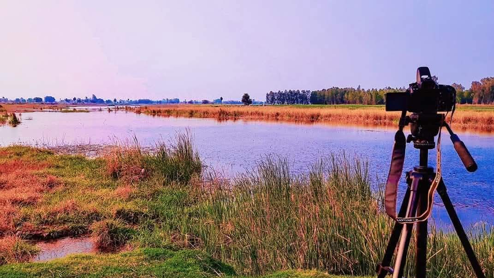 कासगंज: लेक सफारी बनने को तैयार दलदली क्षेत्र, पर्यटन गांव बनेगा दरियागंज झील