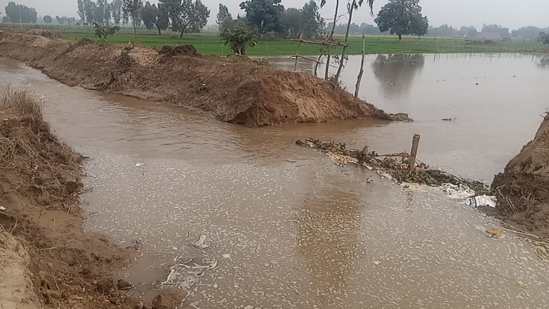 शाहजहांपुर: नहर कटने से जलमग्न हुई फसलें, किसानों को हुआ भारी नुकसान