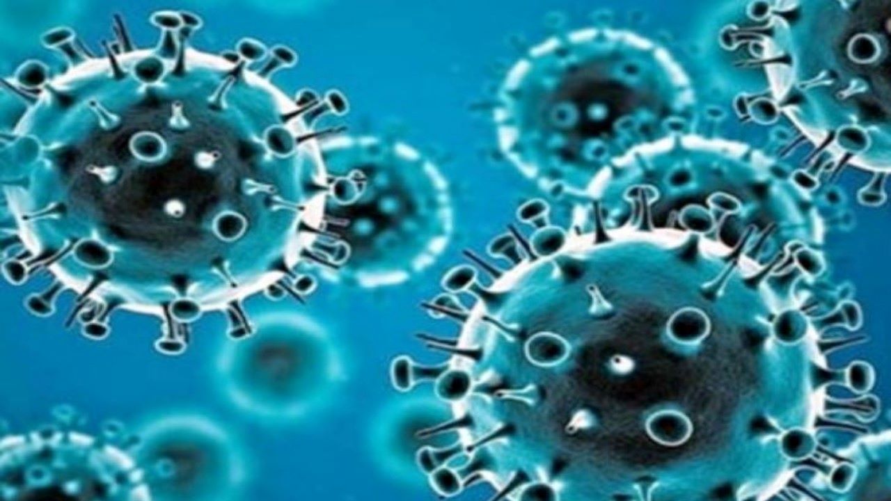  HMPV Virus: महिला की रिपोर्ट आई Negative, 48 घंटे में संक्रमण से मिली निजात, डॉक्टर बोले वायरस से डरने की जरूरत नहीं