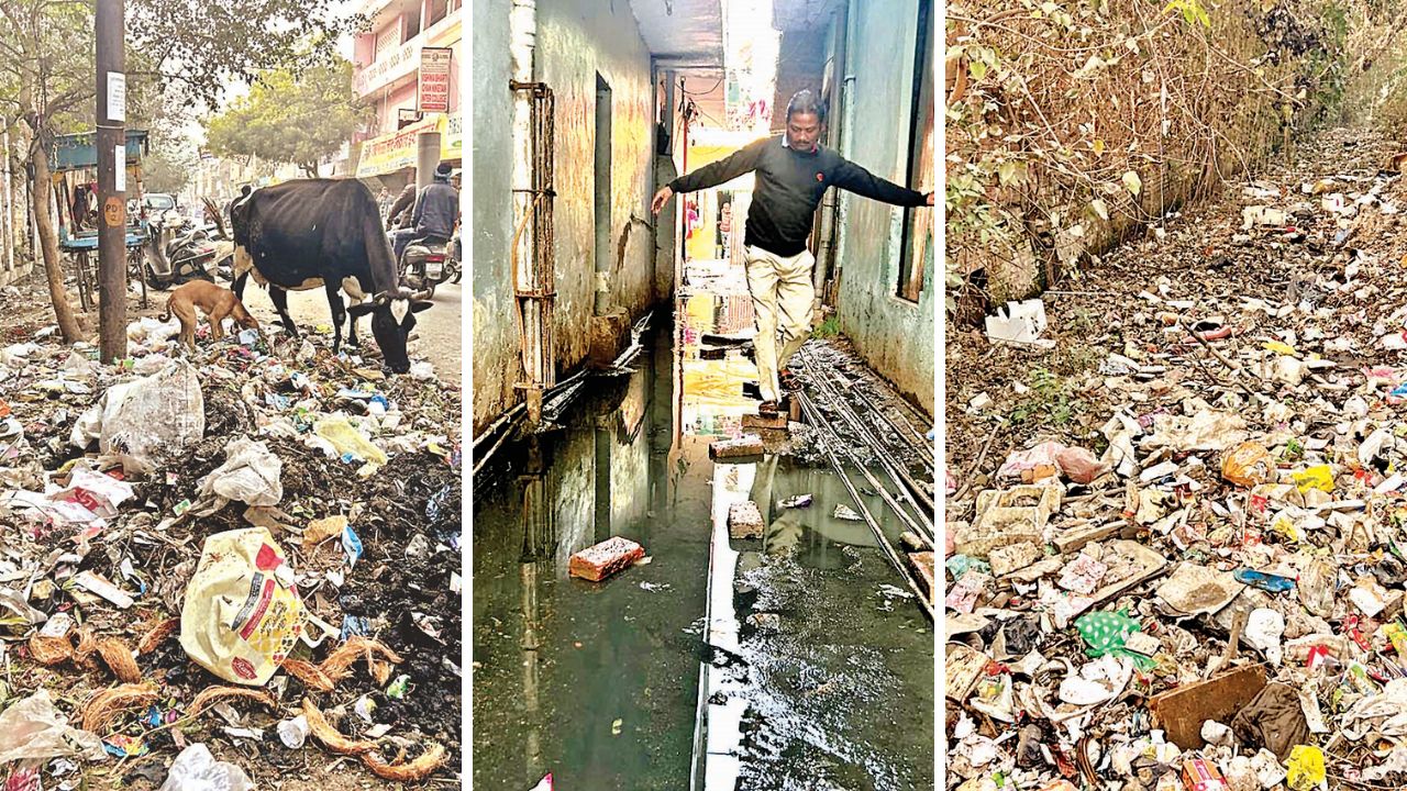 Kanpur के इस इलाके में गंदगी की भरमार...लोग बोले- महापौर से लगाई थी अर्जी, उन्होंने समझ लिया फर्जी