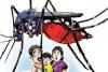 हल्द्वानी: डेंगू-मलेरिया को लेकर स्वास्थ्य विभाग अलर्ट