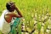 गरमपानी: 2007 में बनी सिंचाई योजना से खेतों में अब तक नहीं पहुंचा पानी, किसान परेशान