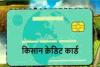 नैनीताल: जिले के सभी पशु व मत्स्य पालकों को मिले किसान क्रेडिट कार्ड का लाभ