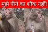 Viral Video: मुझे पीने का शौक नहीं! बस आज पी लेने दे मेरे यार… बंदर बना शराबी, गटागट पी डाली दारू की बोतल