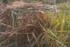 तेंदुए की दशहत : खेत में वनविभाग की टीम ने लगाया पिंजड़ा