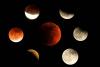 Lunar Eclipse 2022: 08 नवंबर को साल का आखिरी चंद्र ग्रहण, ये उपाय दुष्प्रभाव से करेंगे बचाव!