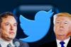 Donald Trump की Twitter पर वापसी, Elon Musk ने कर दिया ऐसा घटिया Post, आप भी देखिए वो Tweet