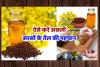 Check Mustard Oil Purity: सरसों का तेल असली है या मिलावटी? ऐसे करें पहचान