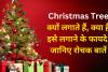 Christmas Tree : क्यों लगाते हैं क्रिसमस ट्री, क्या हैं इसे लगाने के फायदे, जानिए रोचक बातें