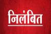 रायबरेली: गौशाला में मवेशियों के शवों के साथ हुई लापरवाही के मामले में BDO पर गिरी गाज 