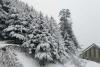 Uttarakhand News: उत्तराखंड के कई इलाकों में हुई बर्फबारी, ठंड बढ़ी