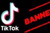 TikTok Ban : अमेरिका में सरकारी उपकरणों, कनाडा में सरकारी फोन में टिकटॉक पर प्रतिबंध 