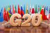 रामनगर: G20 सम्मेलन -  विदेशी मेहमानों के लिए कार्बेट प्रशासन भी तैयार       