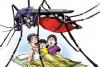 मुरादाबाद : बढ़ने लगे मच्छर, लोगों को मलेरिया-डेंगू का खतरा बढ़ा