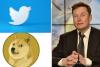 Twitter Logo : उड़ गई नीली चिड़िया ! अब Elon Musk ने 'डॉगी' को बनाया ट्विटर का नया लोगो