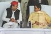 Akhilesh Yadav Birthday : पूर्व सीएम मायावती ने दी बधाई, Tweet कर लिखी ये बात 