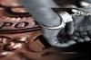 यूपी एसटीएफ ने हाथी दांत की तस्करी के मामले में दो तस्करों को किया गिरफ्तार