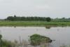 Flood In Kannauj : गंगा का जलस्तर बढ़ने से बढ़ी मुश्किलें, स्कूलों में भी जलभराव, ये है स्थिति