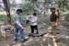 अयोध्या: जंगल में पेड़ पर फंदे से लटकता मिला महिला का मिला शव