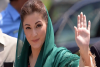 पाकिस्तान के इतिहास में पहली लेडी CM बनी Maryam, नवाज शरीफ की बेटी हैं पंजाब की मुख्यमंत्री