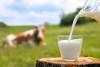 गाय के कच्चे दूध में उच्च सांद्रता में बर्ड फ्लू पाया गया,  WHO ने जारी की चेतावनी