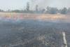 अयोध्या: शॉर्ट सर्किट से खेत में लगी आग, तीन बीघा गेहूं की फसल राख