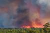 कनाडा के जंगलों में लगी भीषण आग, 6,600 से अधिक निवासियों को सुरक्षित स्थान पर पहुंचाया