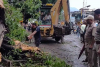 हल्द्वानी: काठगोदाम में पेड़ गिरा, कांग्रेस के प्रदेश प्रवक्ता ने दी तहरीर