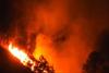नैनीताल: मंगोली धापला के जंगल में धधक उठी आग, काबू पाने का प्रयास जारी