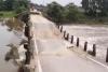 बिहार में पुल खोल रहे गुणवत्ता की पोल...10 दिन में चौथा पुल धराशाई, अब किशनगंज में ब्रिज के पिलर गिरे