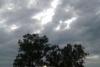 Kanpur Weather News: कही हल्की धूप तो कही छाए बादल...उमस भरी गर्मी से लोग परेशान, जल्द दस्तक देगा मानसून