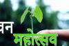 Van Mahotsav: वन महोत्सव आज से शुरू, युवाओं को पौधरोपण के प्रति करेंगे जागरूक