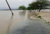 बलरामपुर: चेतावनी बिन्दु के पार पहुंचा राप्ती नदी का जलस्तर, जिले में बाढ़ का खतरा बढ़ा